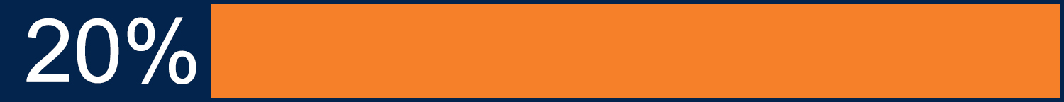 20 percent progress bar